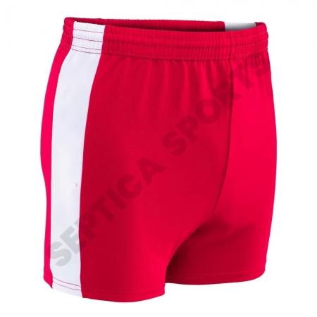 MMA Shorts